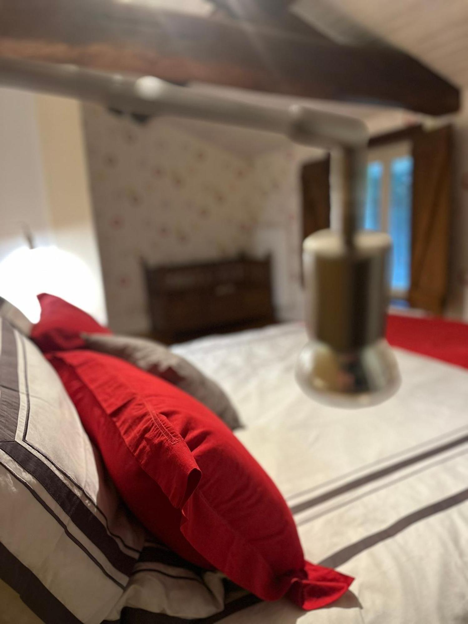 Chambres D'Hotes Les Vernayes Amplepuis エクステリア 写真